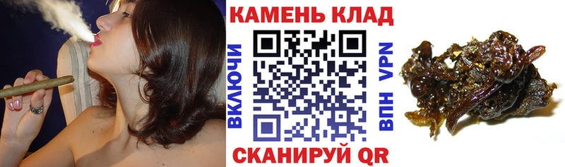 что такое Владимир Гашиш ice o lator
