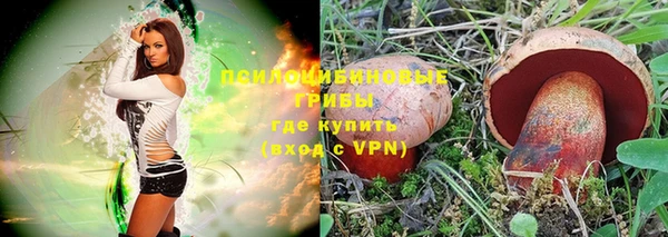 a pvp Няндома