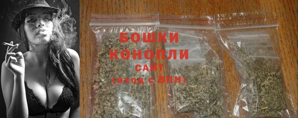 гашик Тихвин