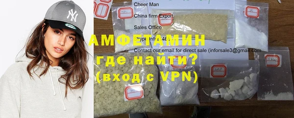 ПСИЛОЦИБИНОВЫЕ ГРИБЫ Осинники