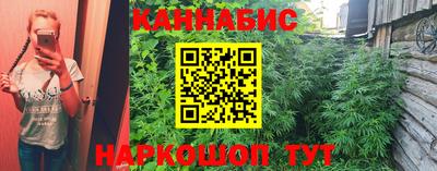 a pvp Аргун