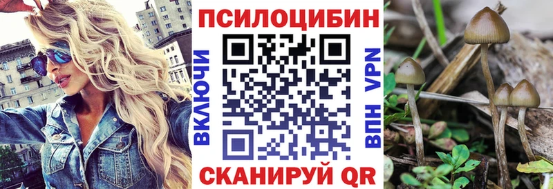 Псилоцибиновые грибы Psilocybine cubensis  где найти   Владимир 