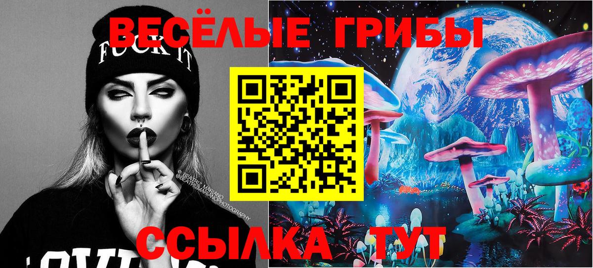 дарнет шоп  Галлюциногенные грибы прущие грибы  Вход с VPN  Владимир 