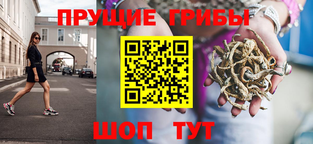 Псилоцибиновые грибы GOLDEN TEACHER Владимир