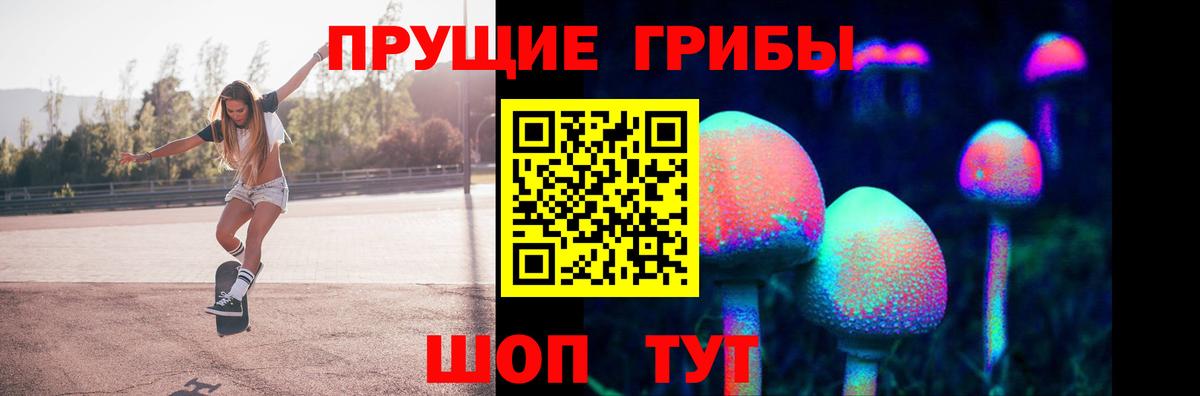 Галлюциногенные грибы GOLDEN TEACHER Владимир